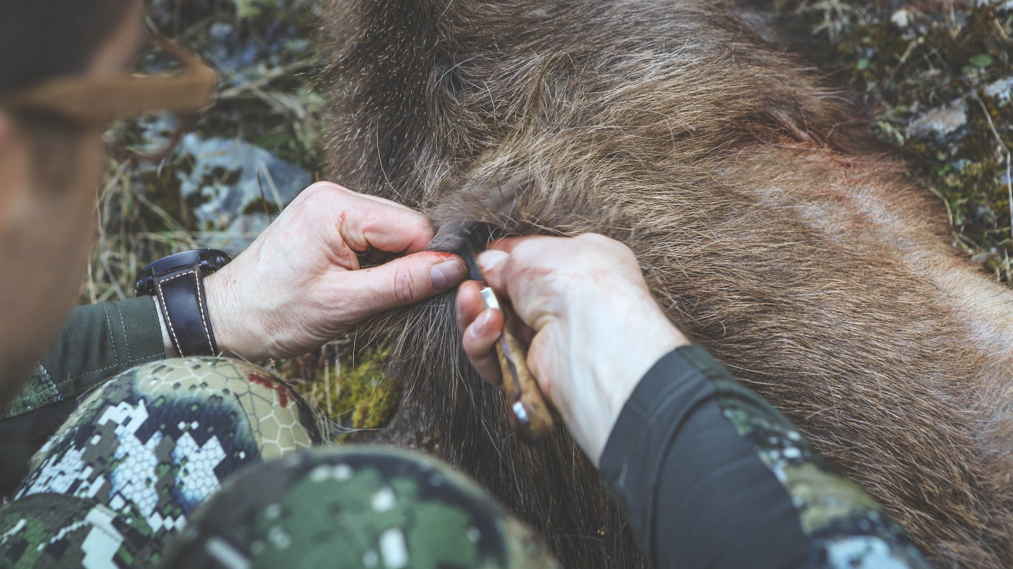 Butchering