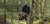 Shop by Hunt Type Bush Stalking